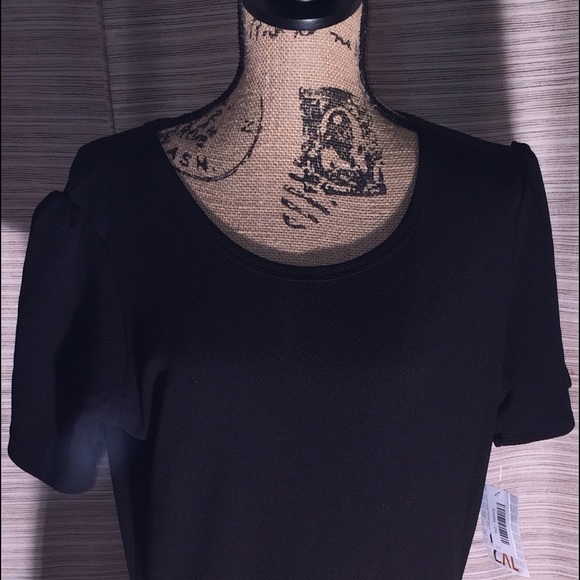 Elegant Amelia BNWT Rose Gold Zipper - Picture 1 of 3